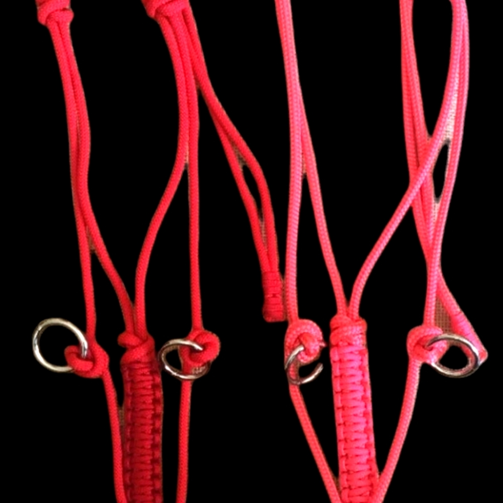 2 Noseless Rope Halters with Leads for Bronc Noseband